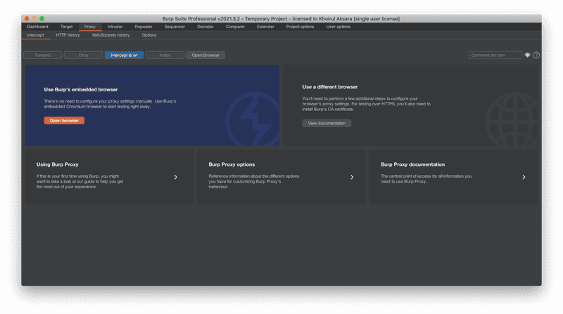 Burp Embedded Browser